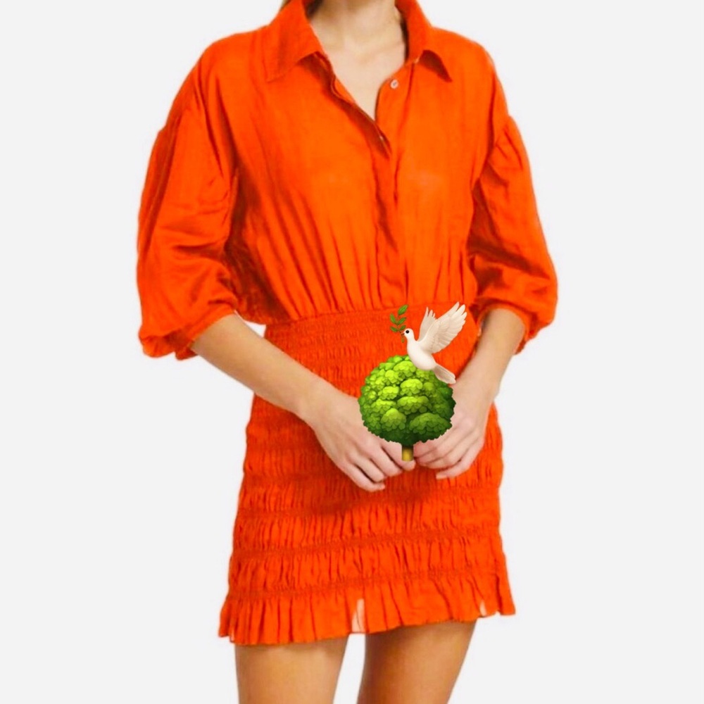 Frame Denim Orange Smocked Mini Dress with Bishop Sleeves